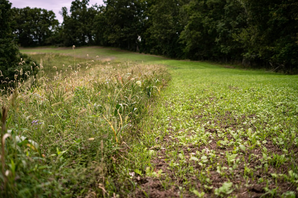 RAK-RZR Spring Mix (1/4 acre)