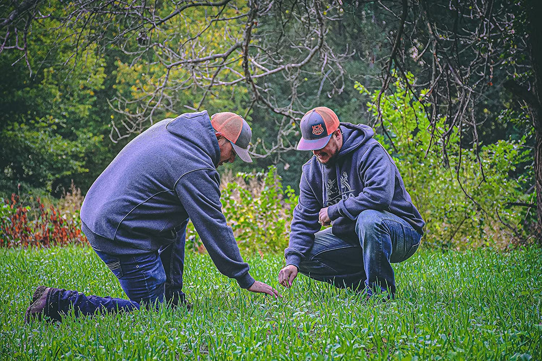 The Basics of Food Plots for Wildlife